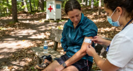 Lyme Disease Vaccine Candidate Just Misses Its Mark In Late-Stage Trial